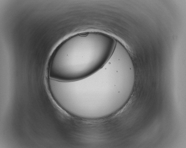 X0000111801518200907230945