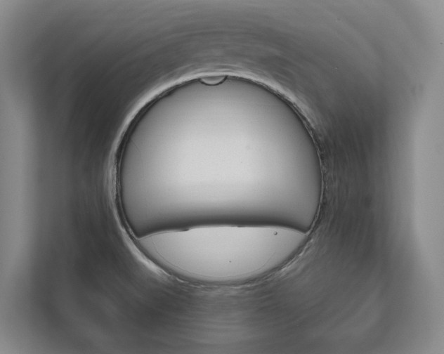 X0000111801519200907230945