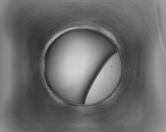 X0000111801520200907230945