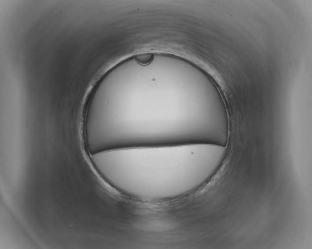 X0000111801525200907230945