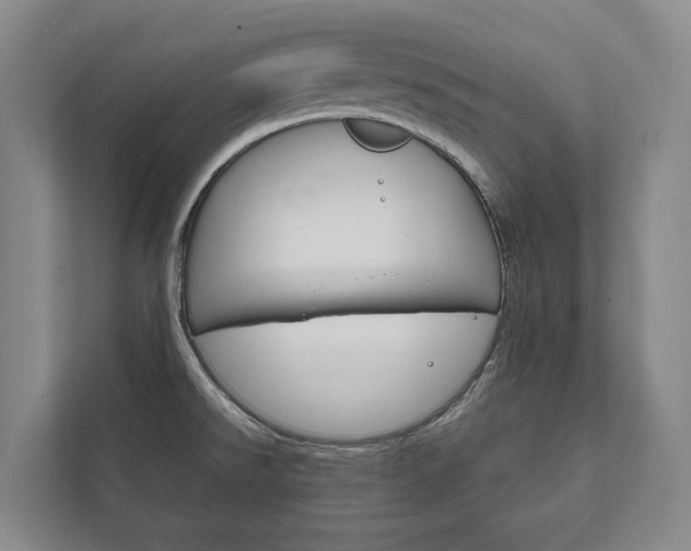 X0000111801526200907230945