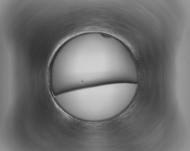 X0000111801527200907230945