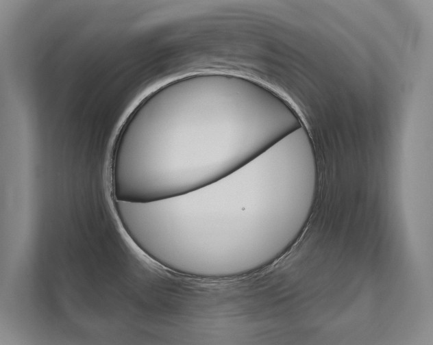 X0000111801531200907230945
