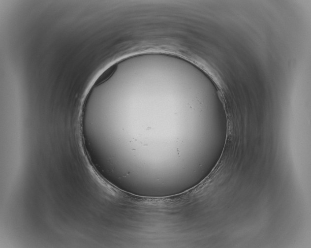 X0000111801532200907230945