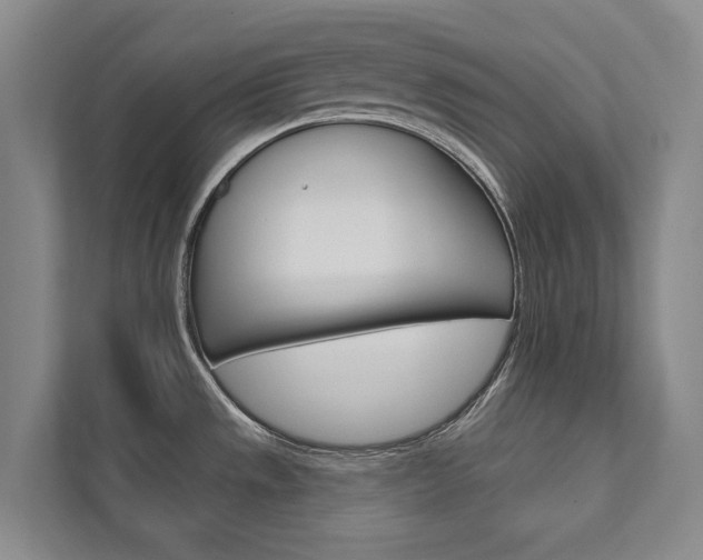 X0000111801533200907230945