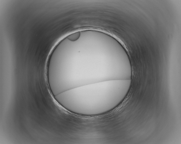 X0000111801535200907230945