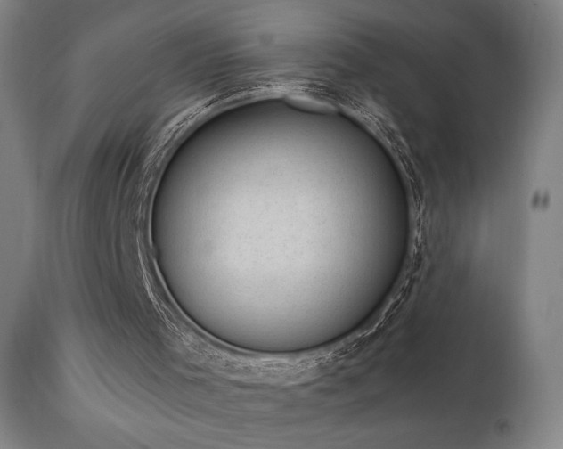 X0000111800001200907231221