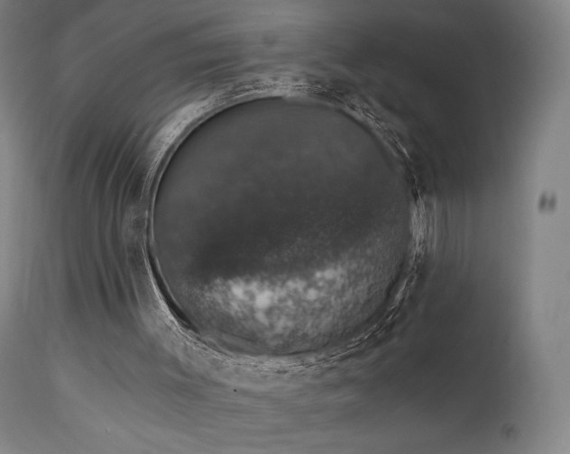 X0000111800003200907231221
