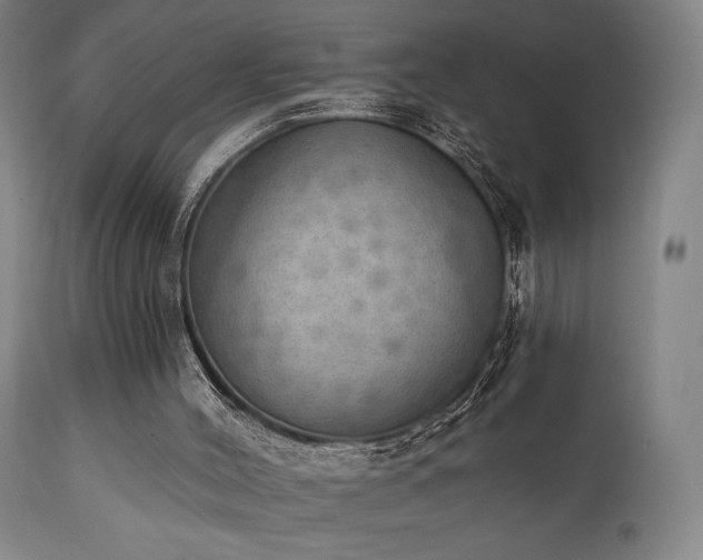 X0000111800004200907231221