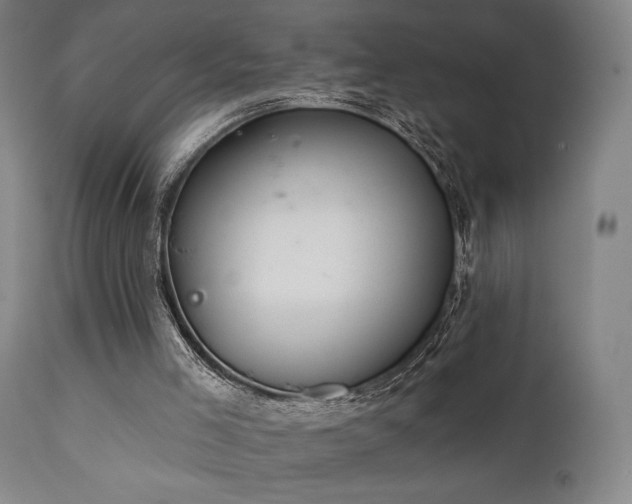 X0000111800005200907231221
