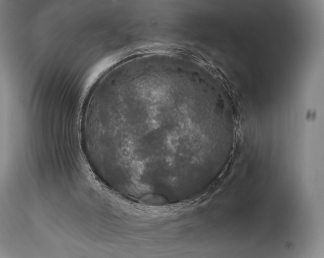 X0000111800006200907231221