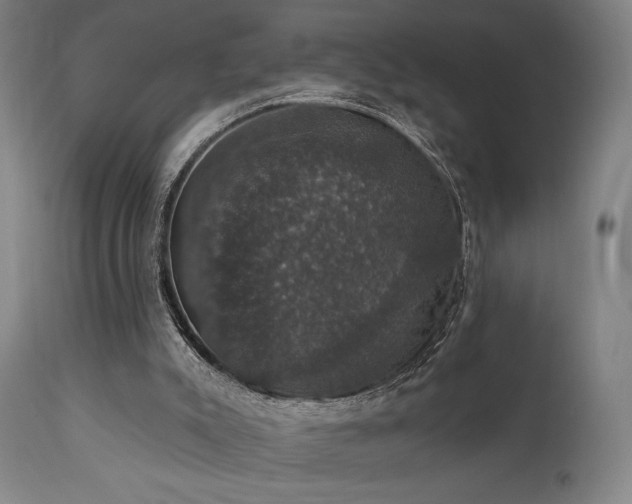 X0000111800007200907231221