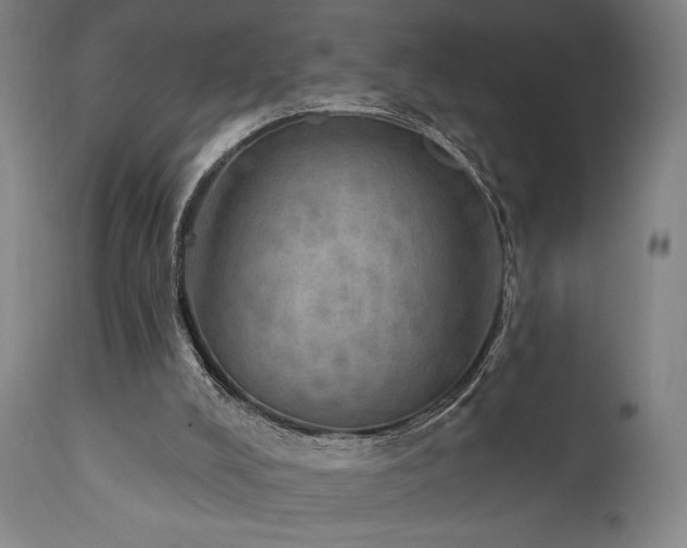 X0000111800008200907231221