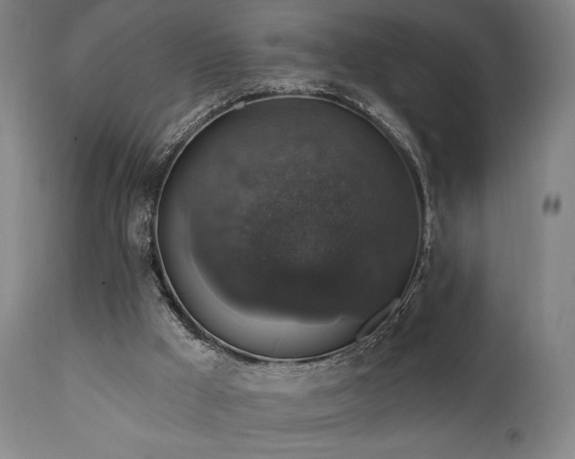 X0000111800009200907231221