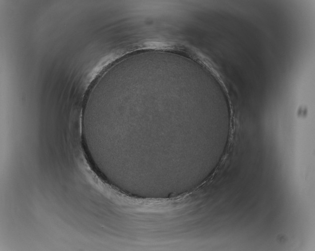 X0000111800011200907231221