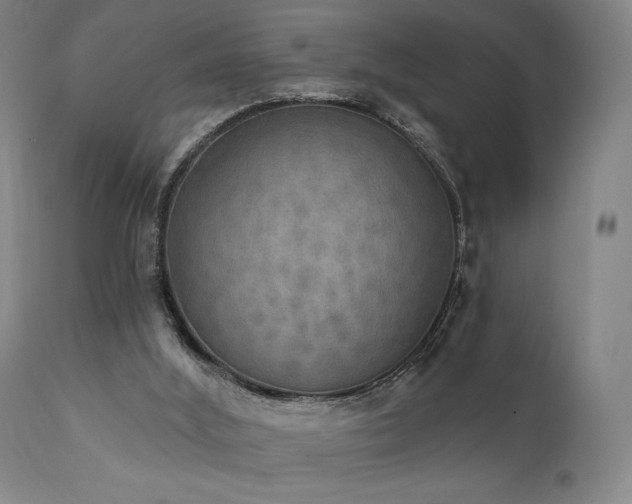 X0000111800012200907231221