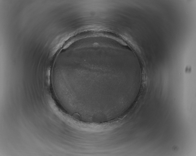 X0000111800014200907231221