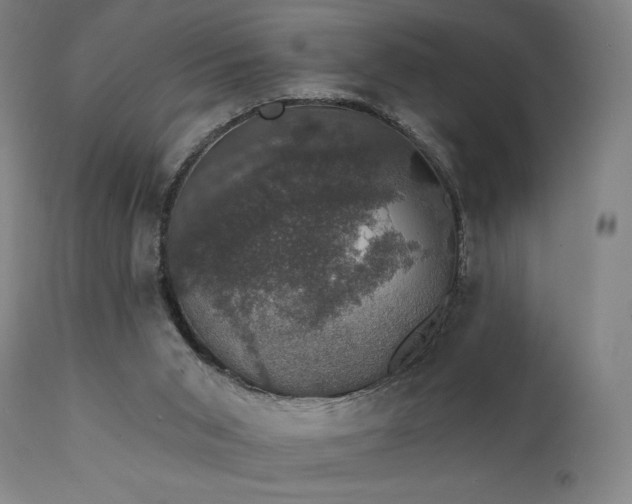 X0000111800015200907231221