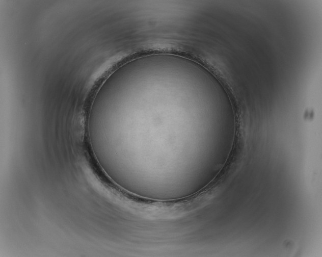 X0000111800016200907231221