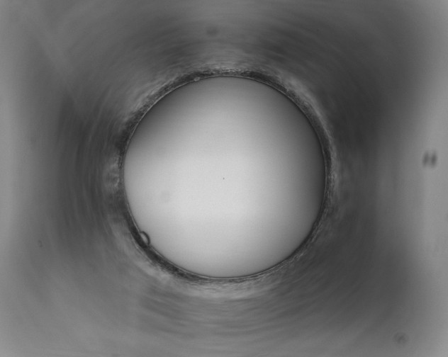 X0000111800017200907231221