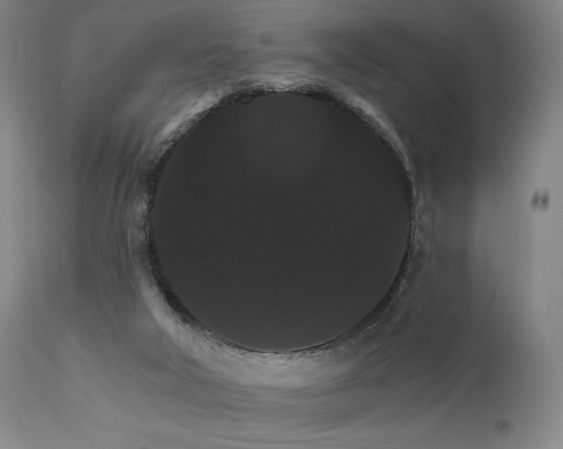 X0000111800018200907231221