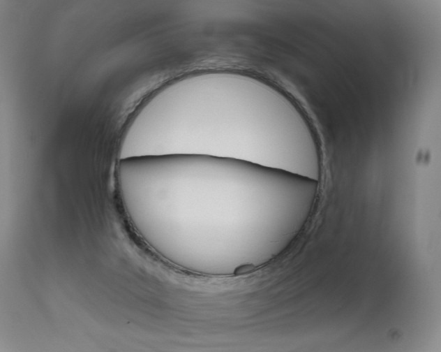 X0000111800019200907231221