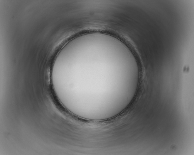 X0000111800020200907231221