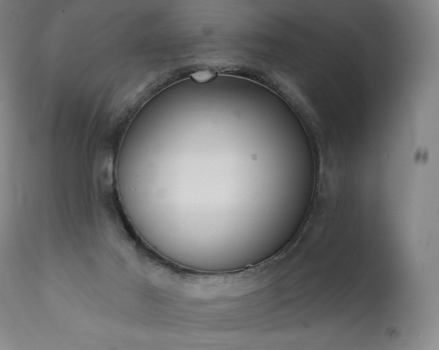 X0000111800021200907231221