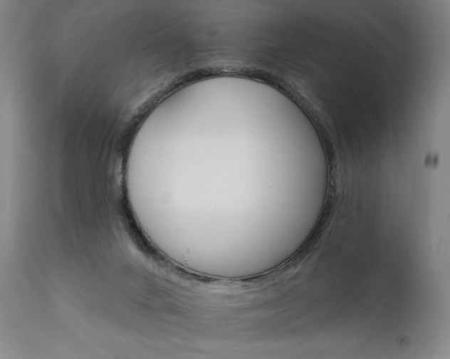 X0000111800024200907231221