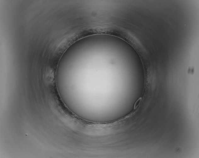 X0000111800025200907231221