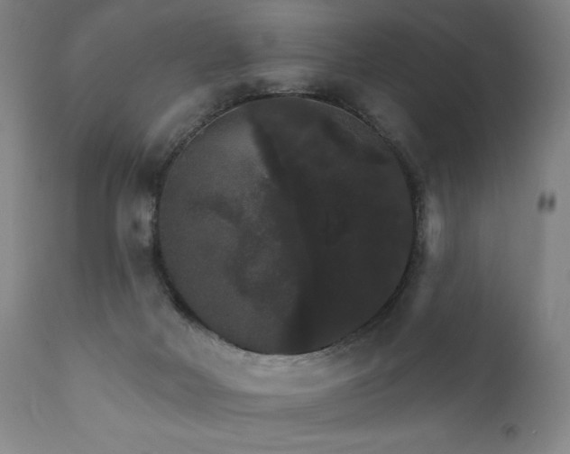 X0000111800026200907231221