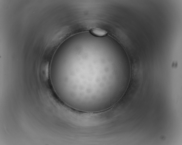 X0000111800028200907231221