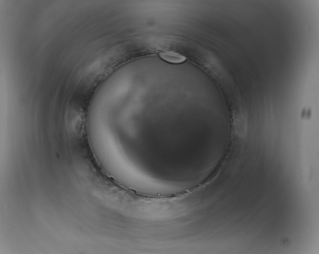X0000111800029200907231221