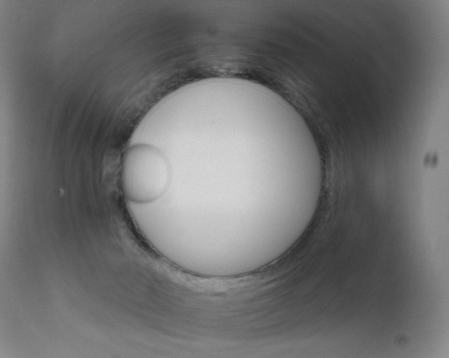 X0000111800030200907231221