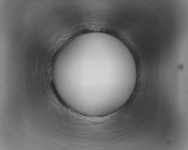 X0000111800031200907231221