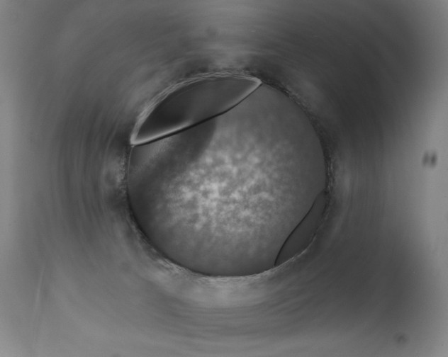X0000111800033200907231221