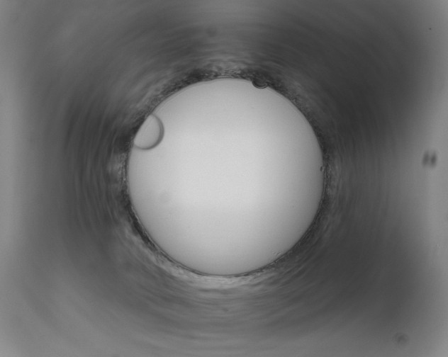 X0000111800034200907231221