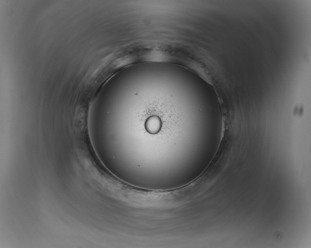 X0000111800036200907231221