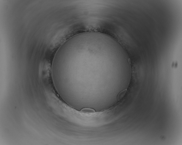 X0000111800038200907231221