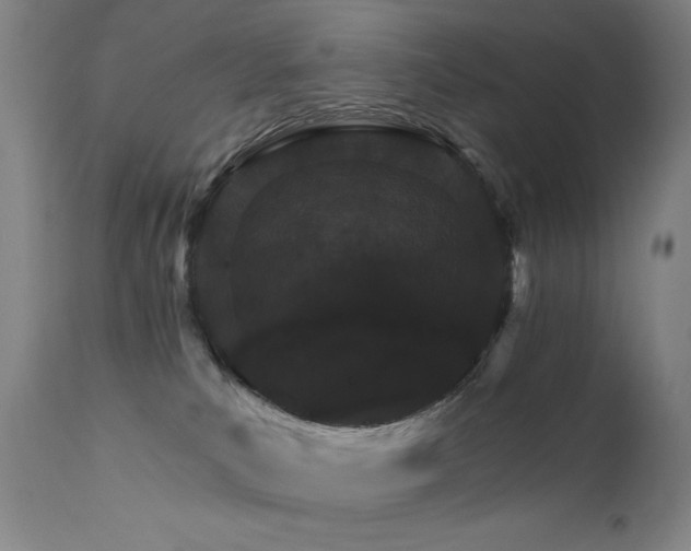 X0000111800039200907231221
