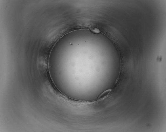 X0000111800040200907231221