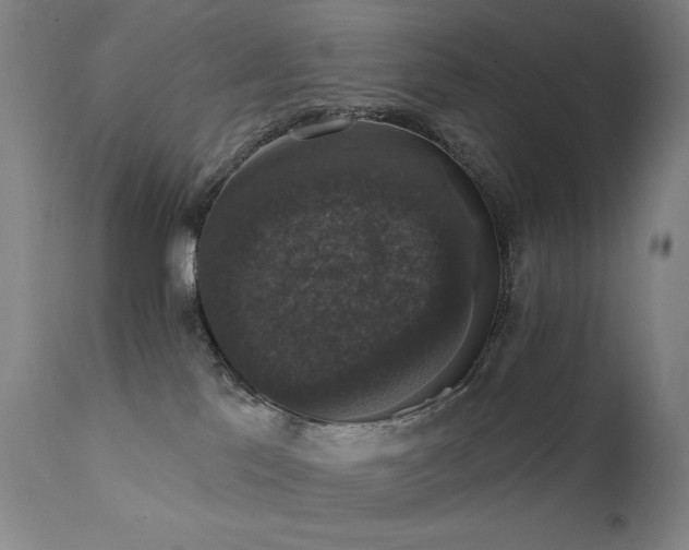 X0000111800041200907231221
