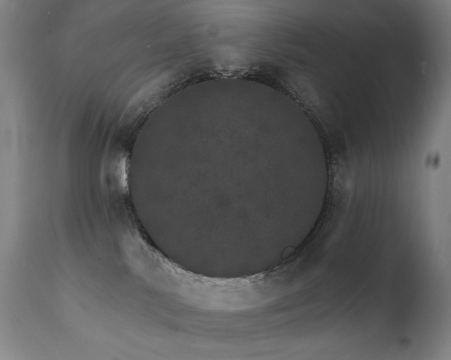 X0000111800042200907231221