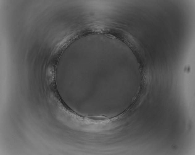 X0000111800043200907231221