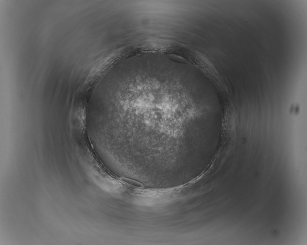 X0000111800045200907231221