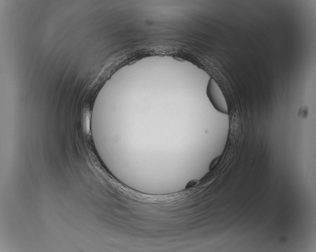 X0000111800046200907231221