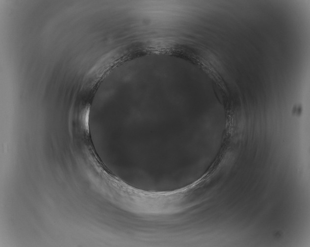 X0000111800047200907231221