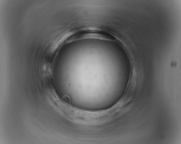 X0000111800048200907231221