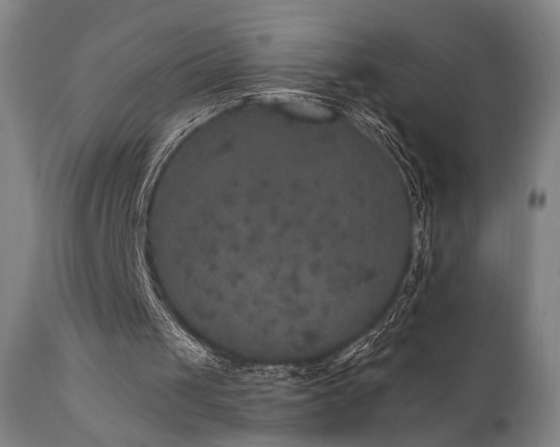 X0000111800049200907231220