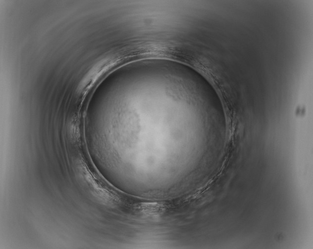X0000111800050200907231220